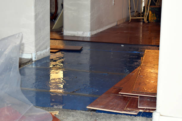 Professional Sewage Cleanup technician working in Bath, MI